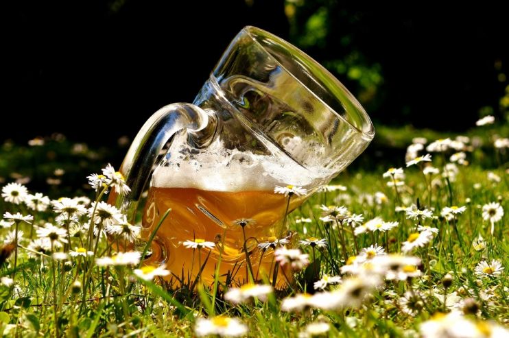 Новинки недели: NEIPA, лагер, стаут