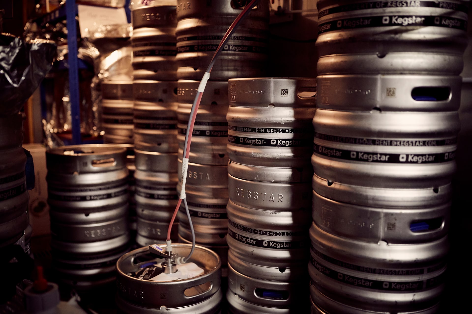 wild-card-brewery18.jpg