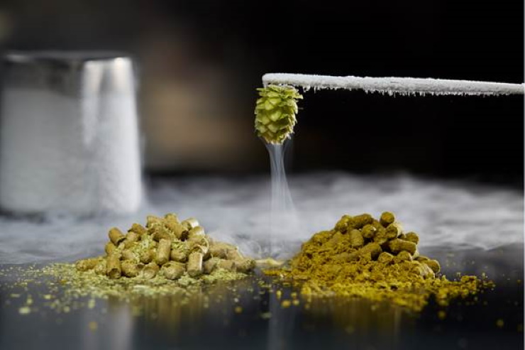 Cryo Hops vs T-90 Pellet: сравнение технологий охмеления