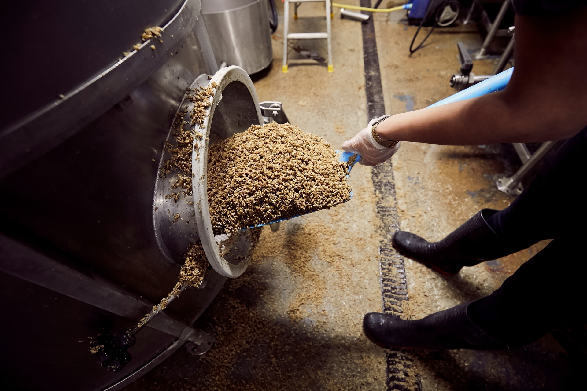 wild-card-brewery5.jpg