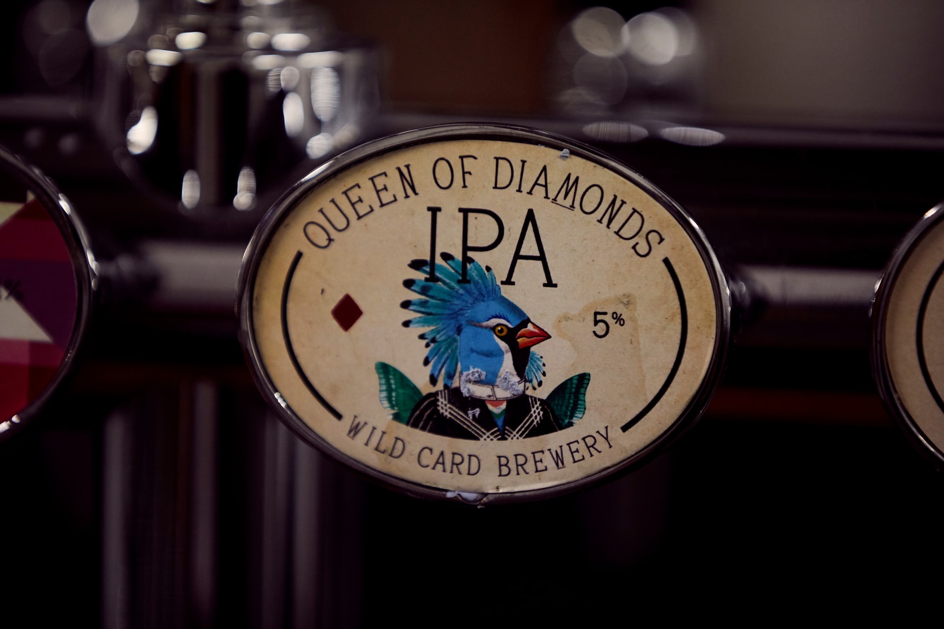 wild-card-brewery16.jpg