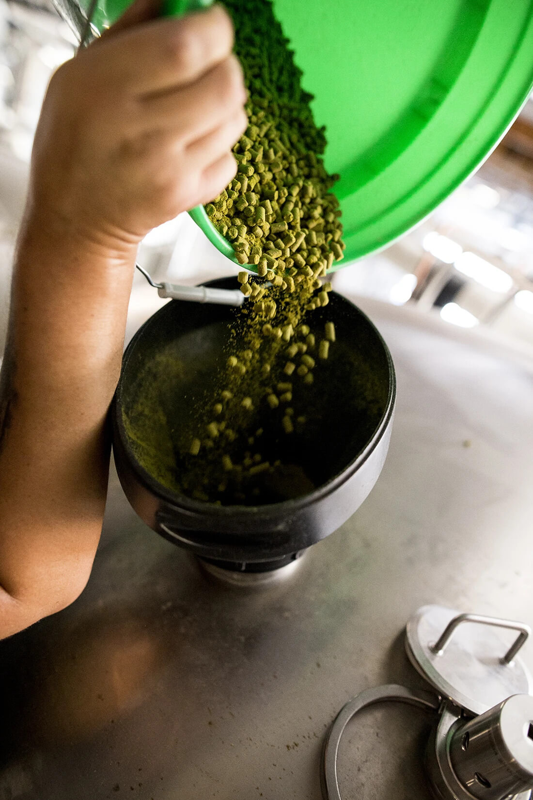 dry-hopping1.jpg