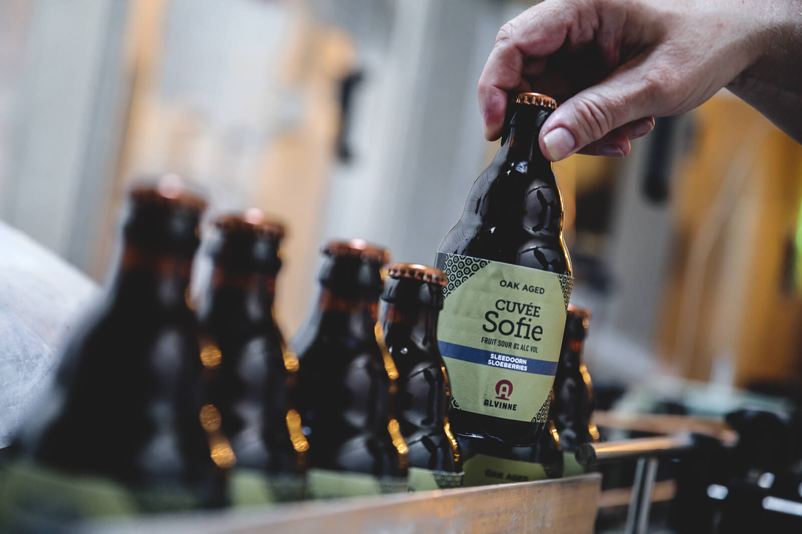 brouwerij-alvinne15.jpg