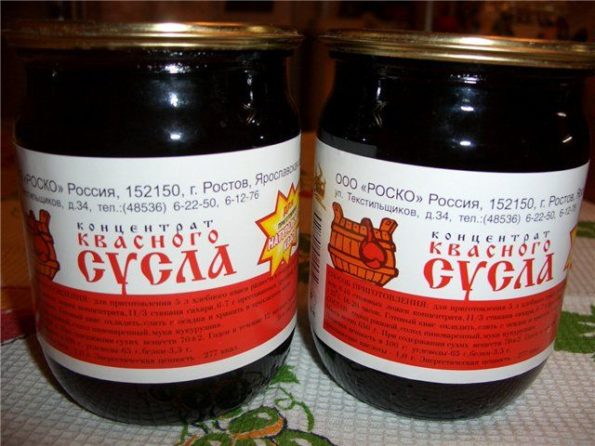 pivo_iz_kvasnogo_susla_3-595x446.jpg