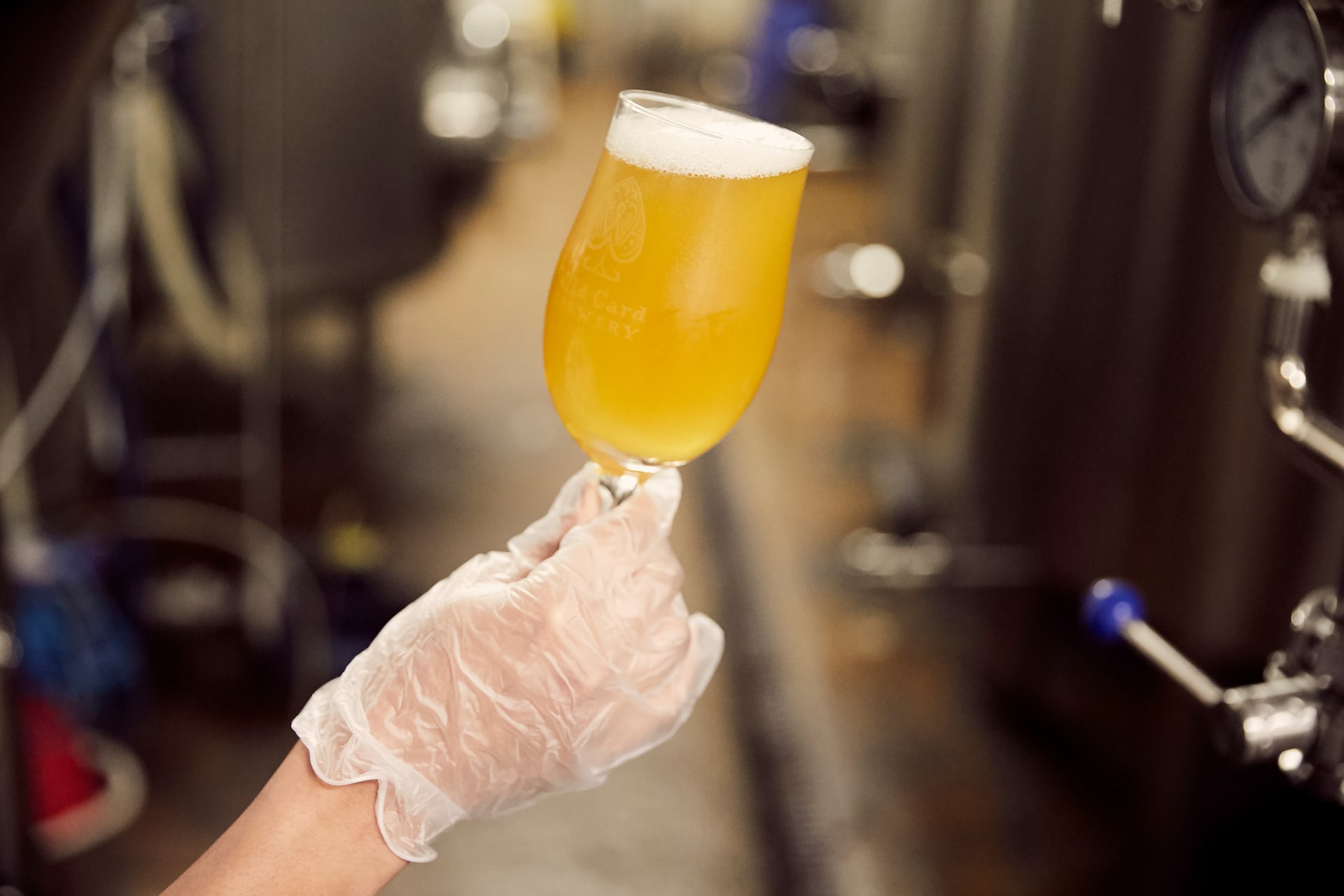 wild-card-brewery14.jpg