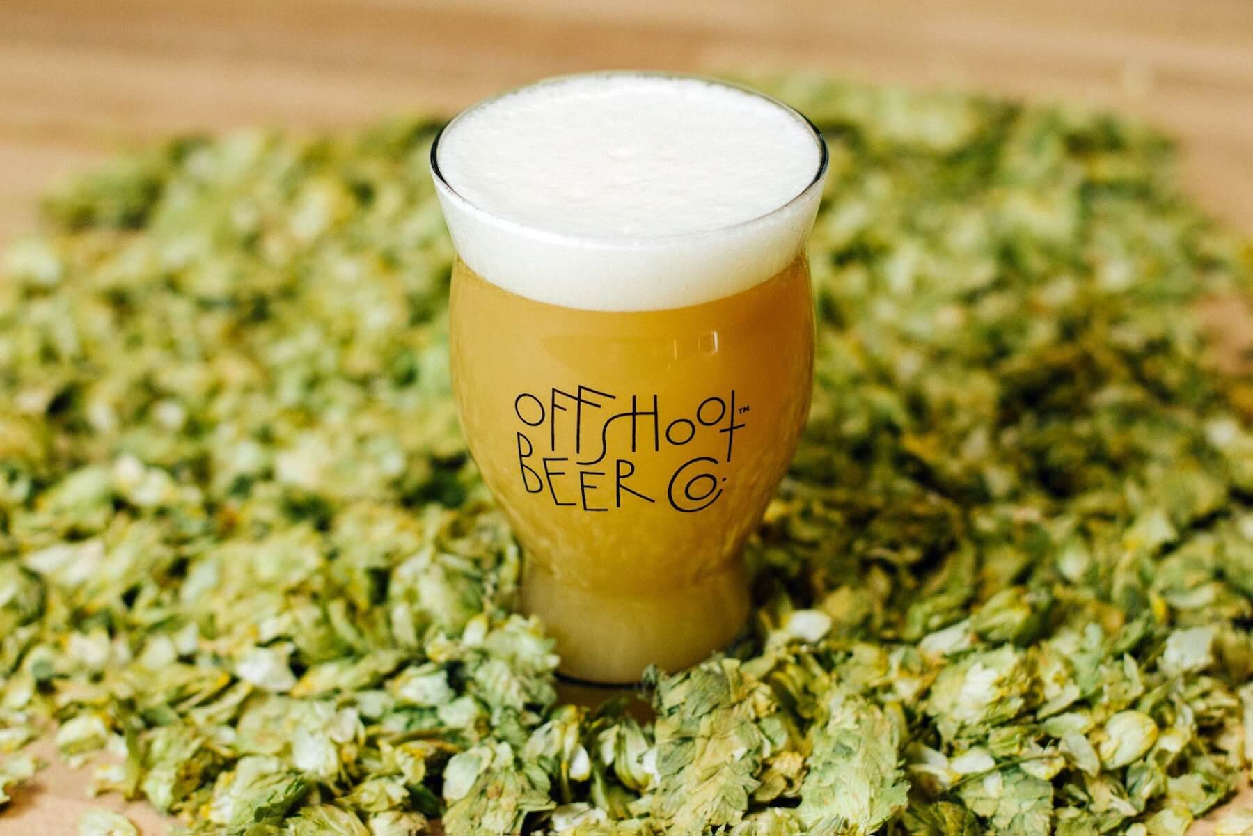 offshoot-beer-ipa.jpg