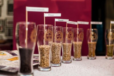 hops40-400x265.jpg