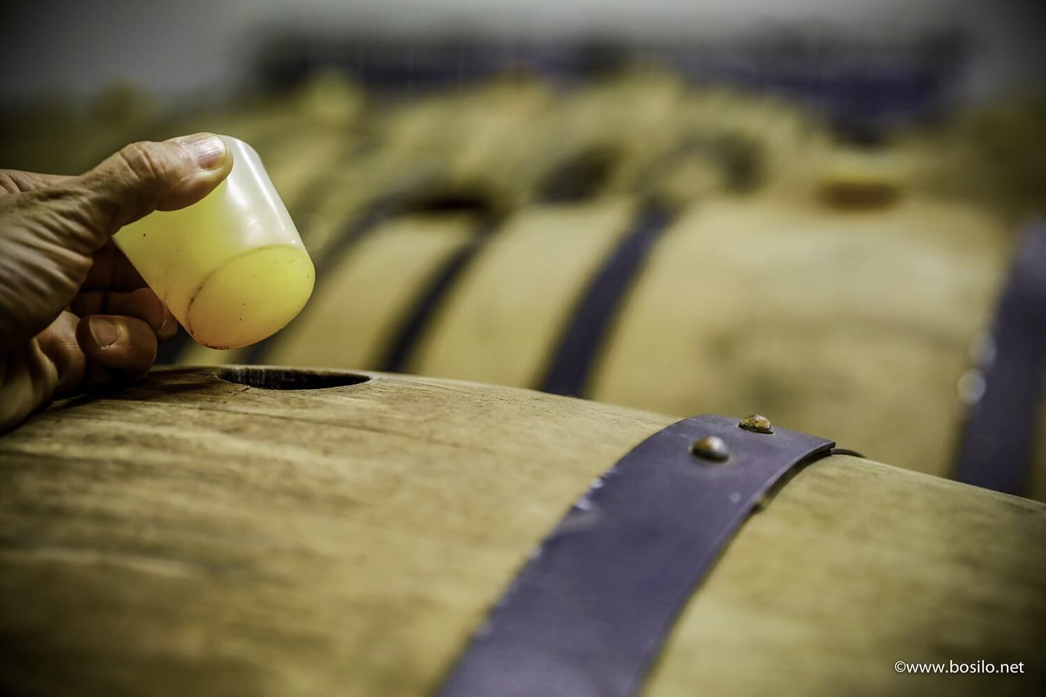 de-ranke6.jpg