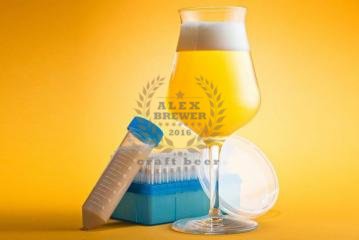 Станут ли дрожжи, производящие молочную кислоту, прорывом в кислых элях?