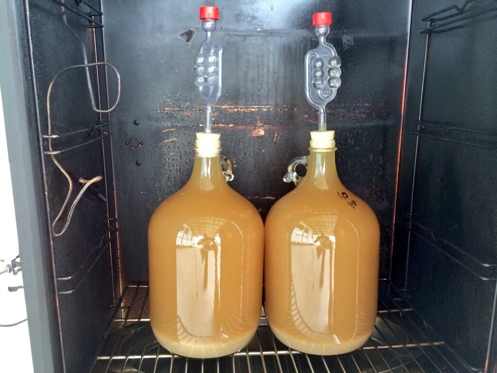 sour-beer-fermentation.jpg