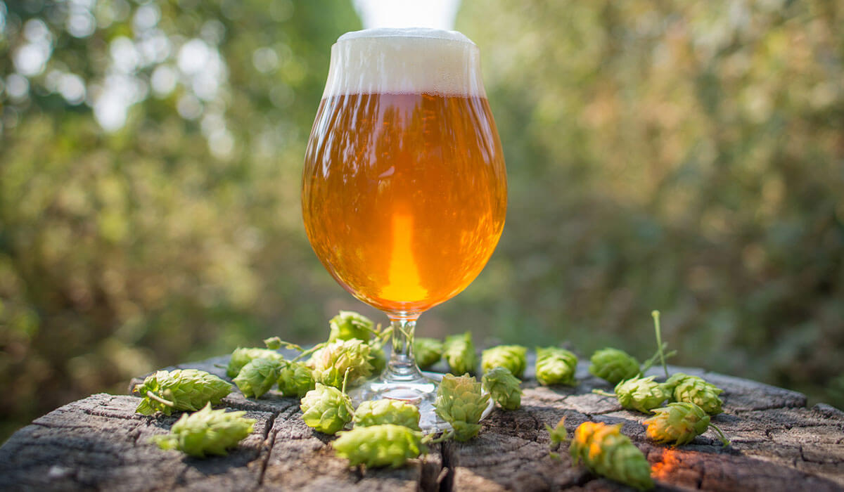 ipa-hops.jpg