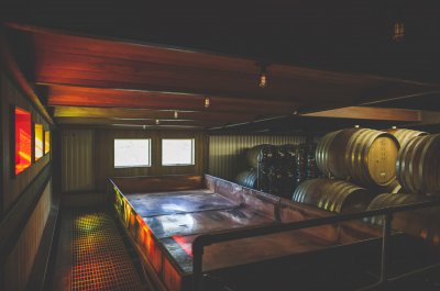 jester-king2-400x265.jpg