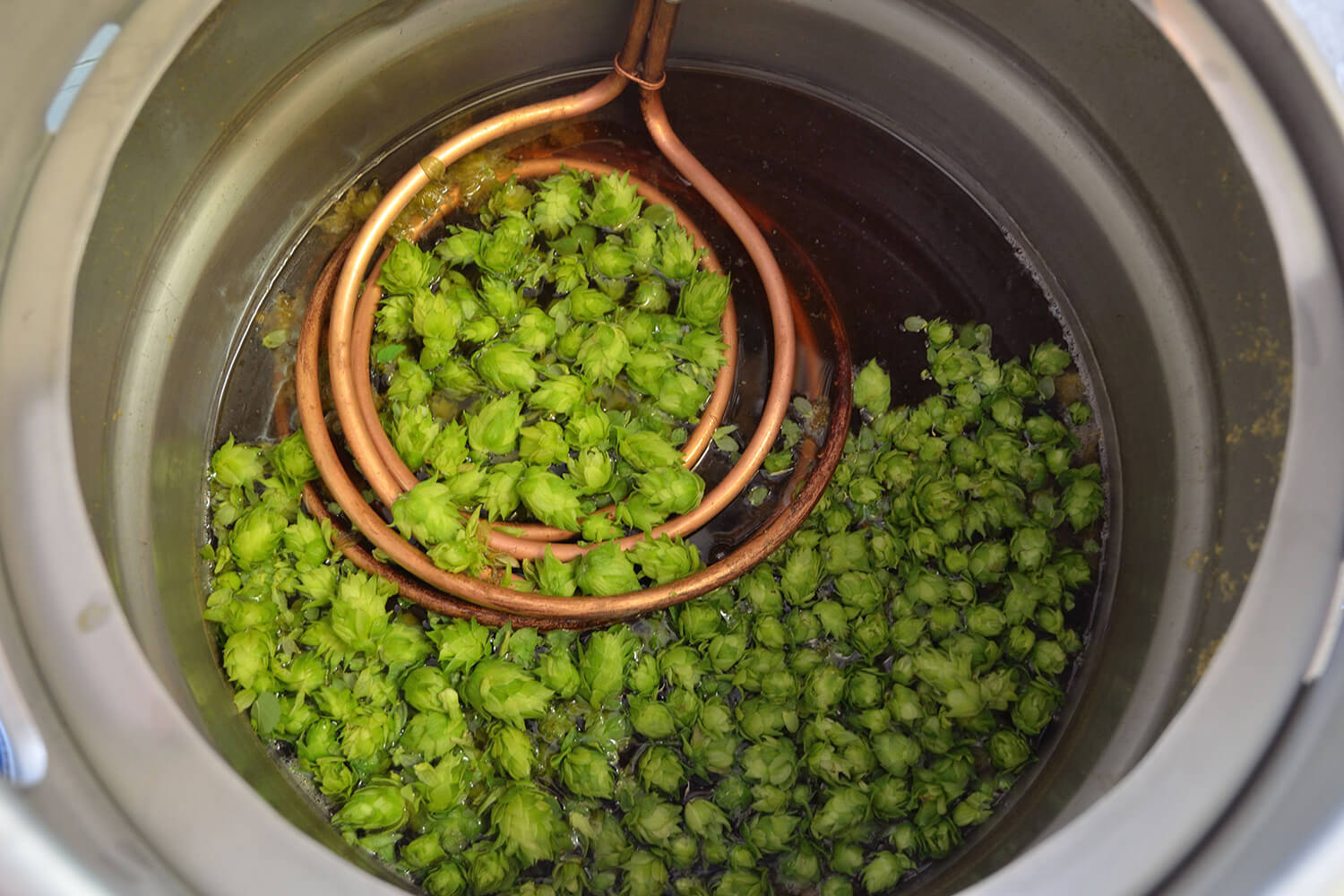 wet-hops.jpg