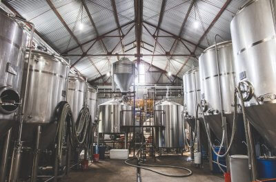 jester-king1-400x265.jpg
