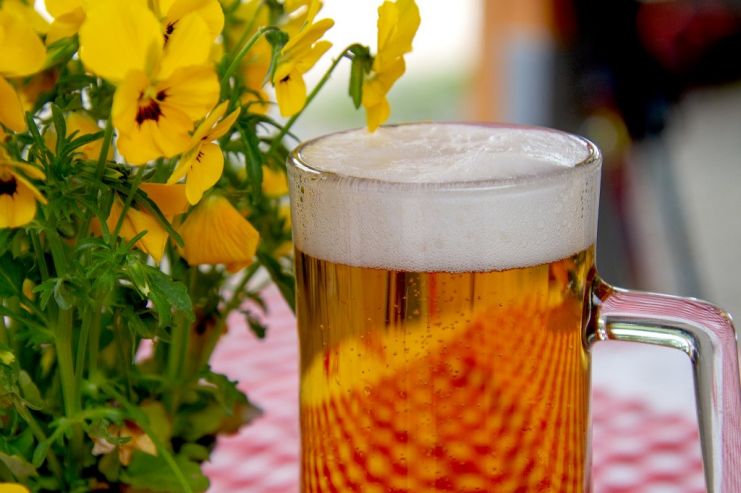 Забытые пивные стили: дампфбир