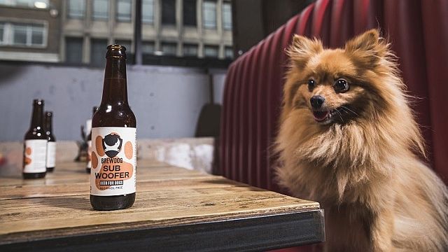 BrewDog выпустила Subwoofer IPA для собак