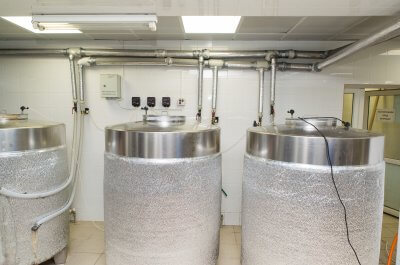 trye-beer6-400x265.jpg