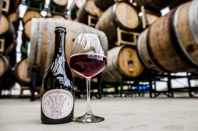 jester-king5-400x265.jpg