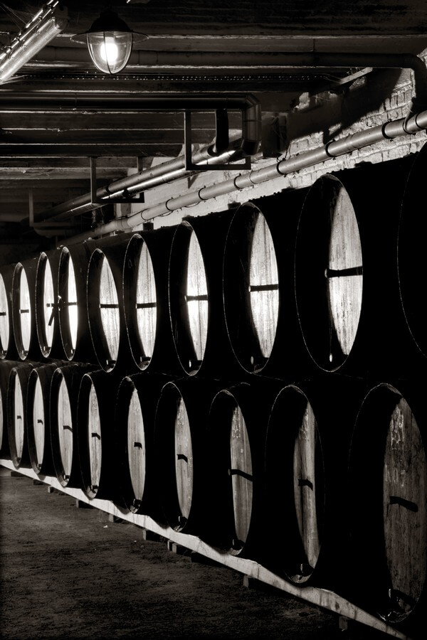 timmermans-maturation-room.jpg