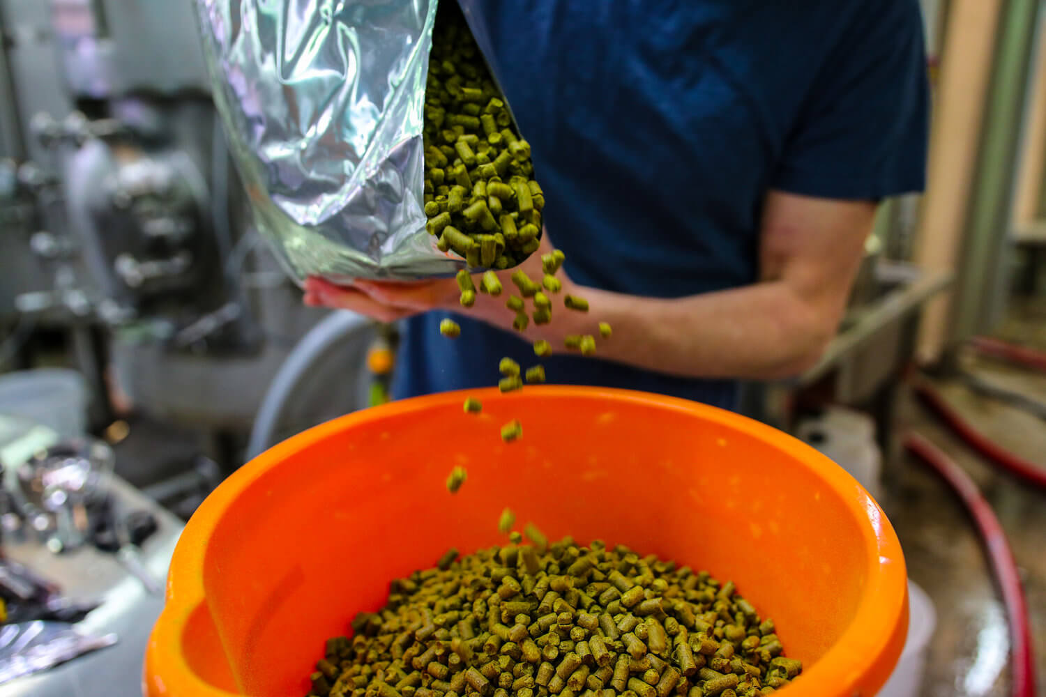 hops.jpg