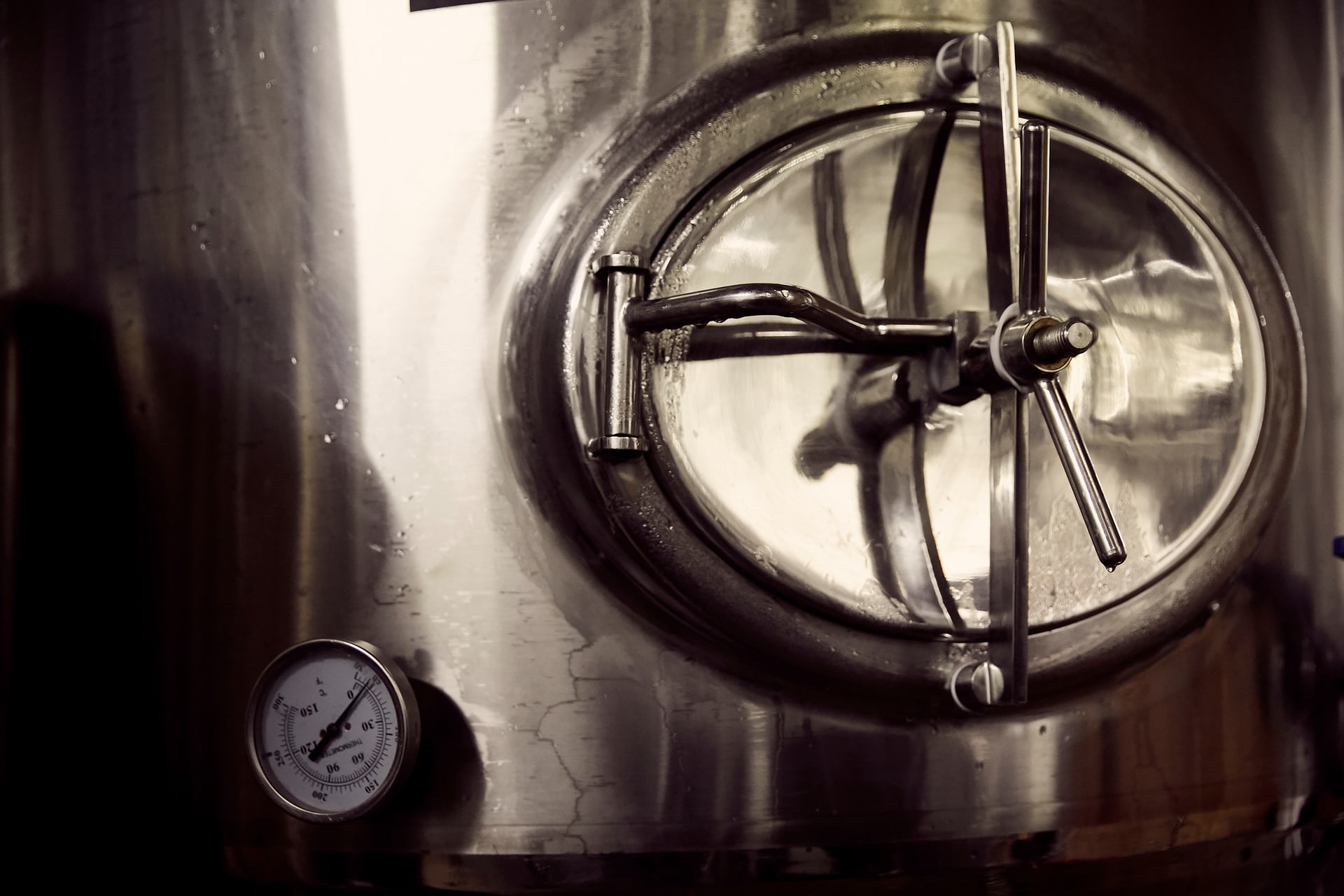 wild-card-brewery11.jpg