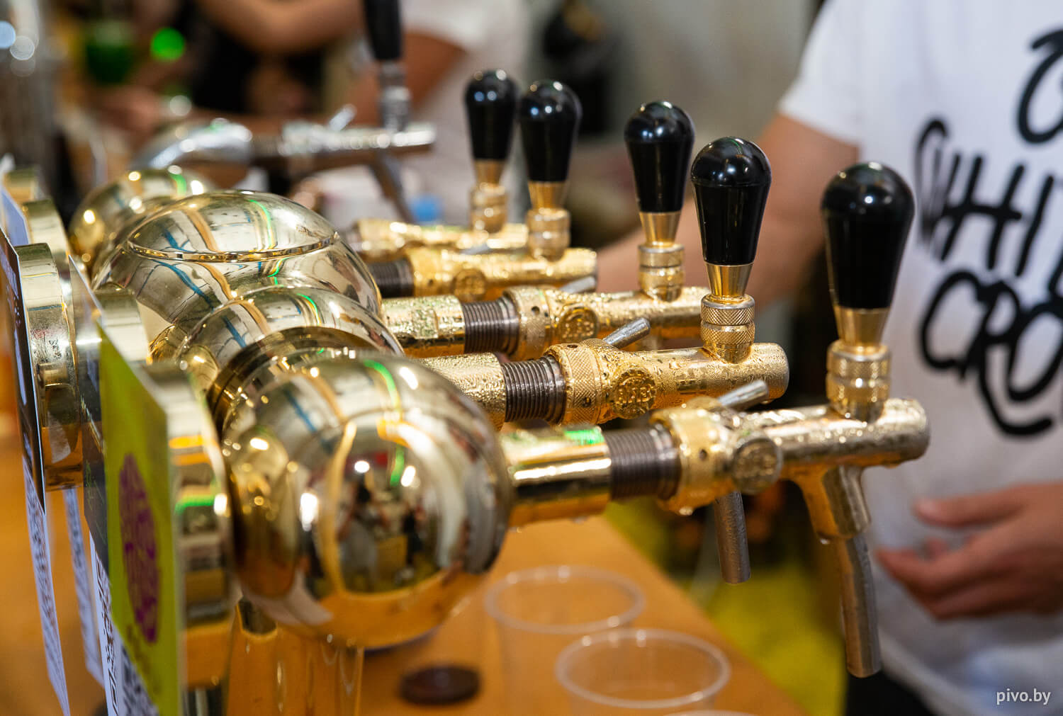 beerncider12.jpg