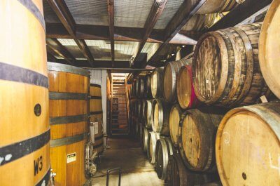 jester-king4-400x265.jpg