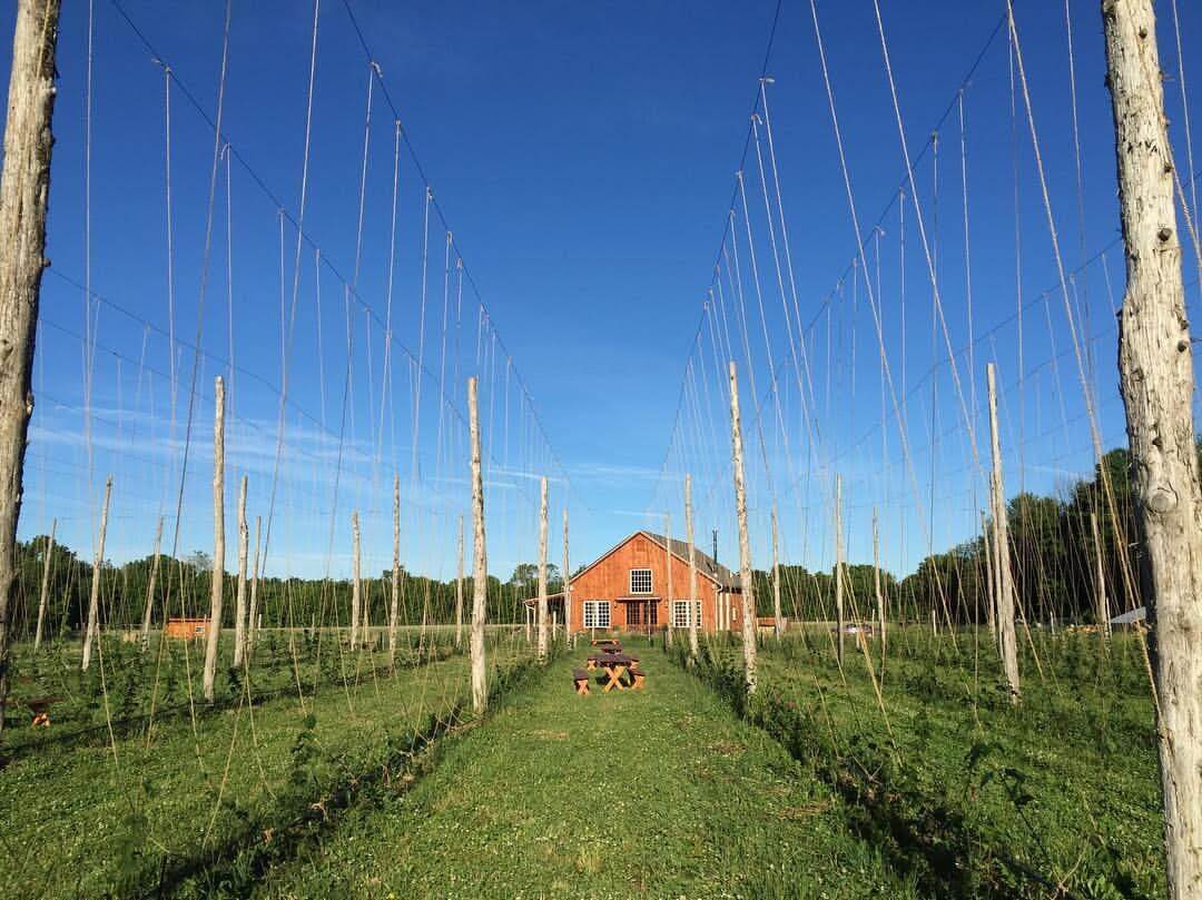 arrowood-farms.jpg