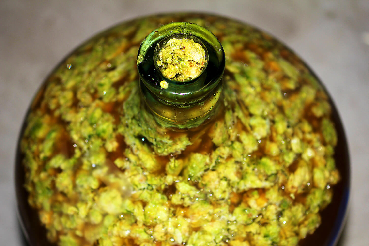 dry-hopping-1.jpg