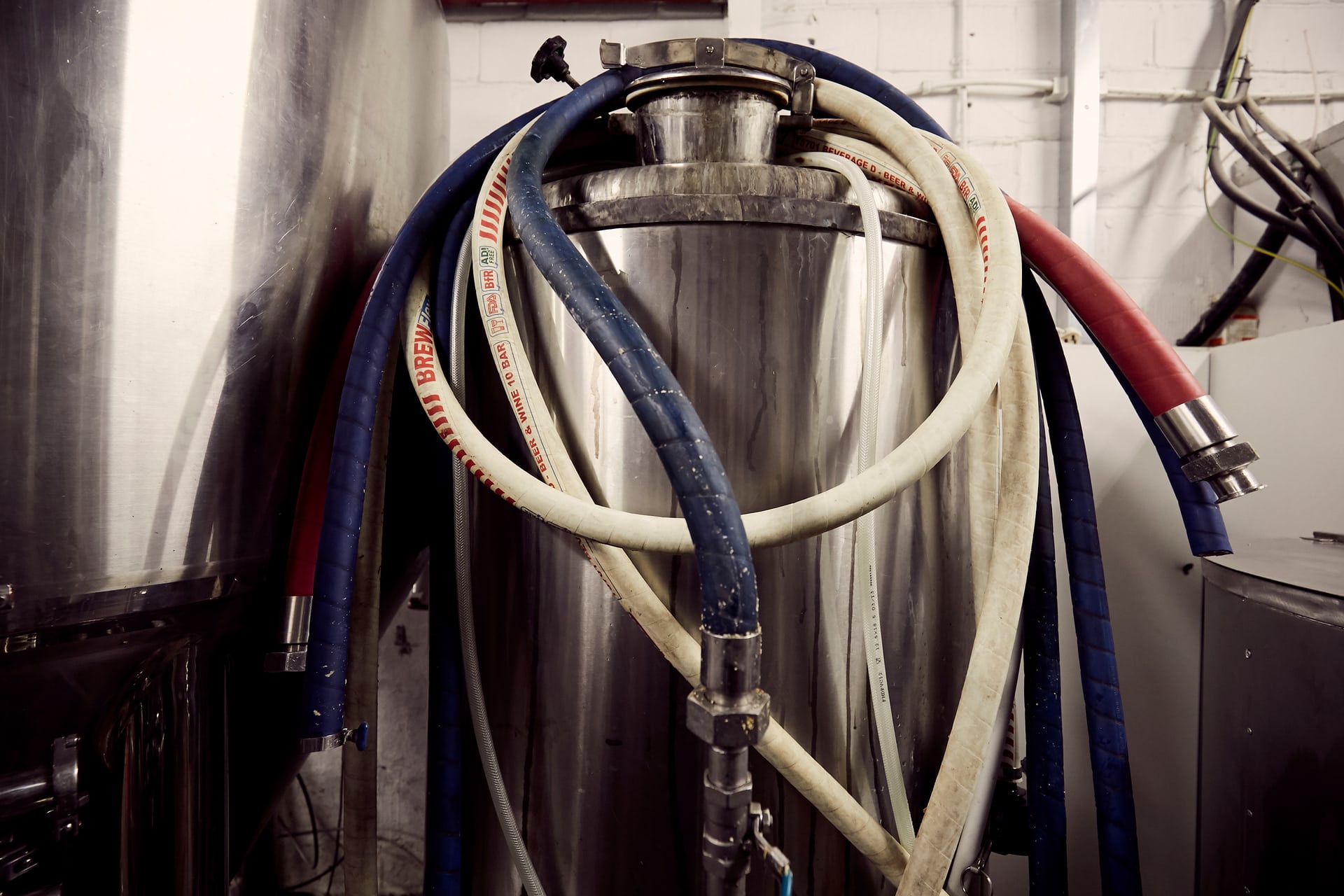 wild-card-brewery12.jpg