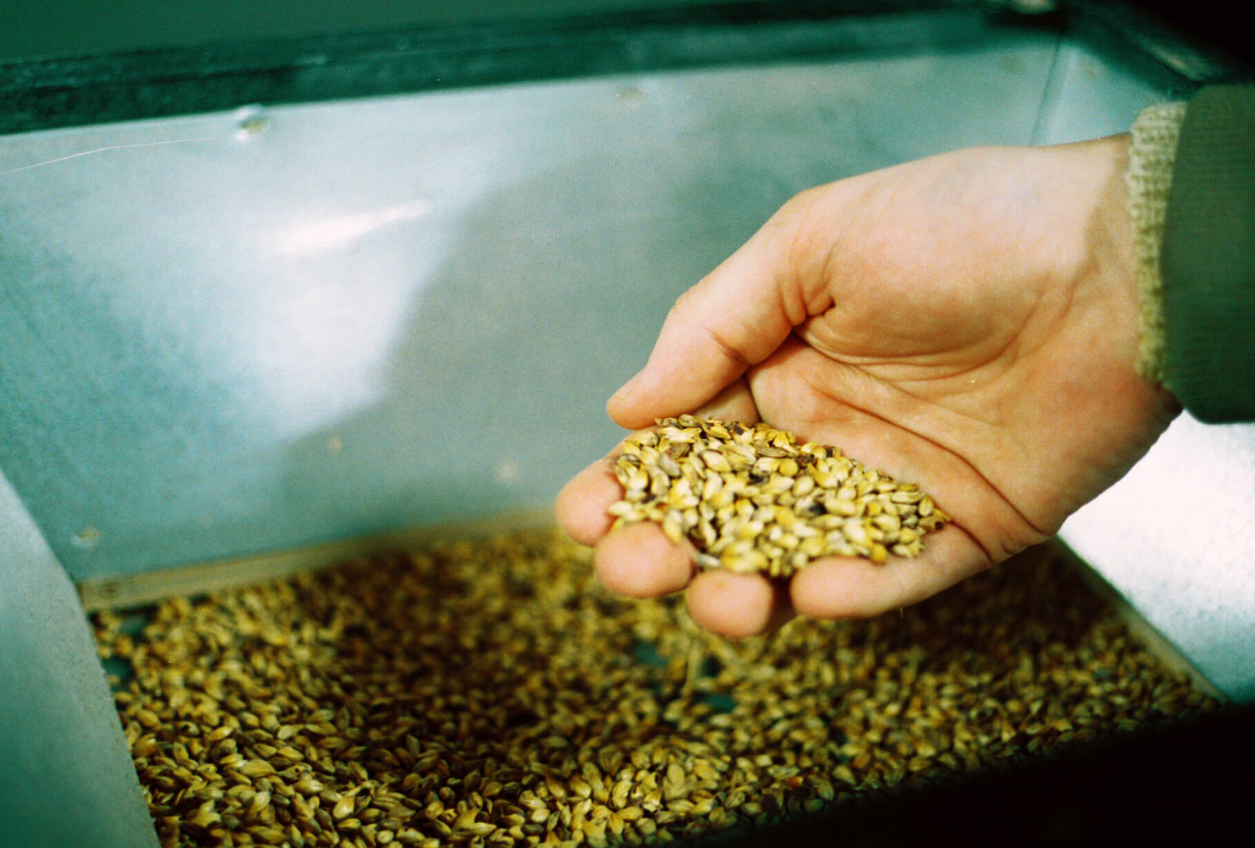 milling-the-grain.jpg